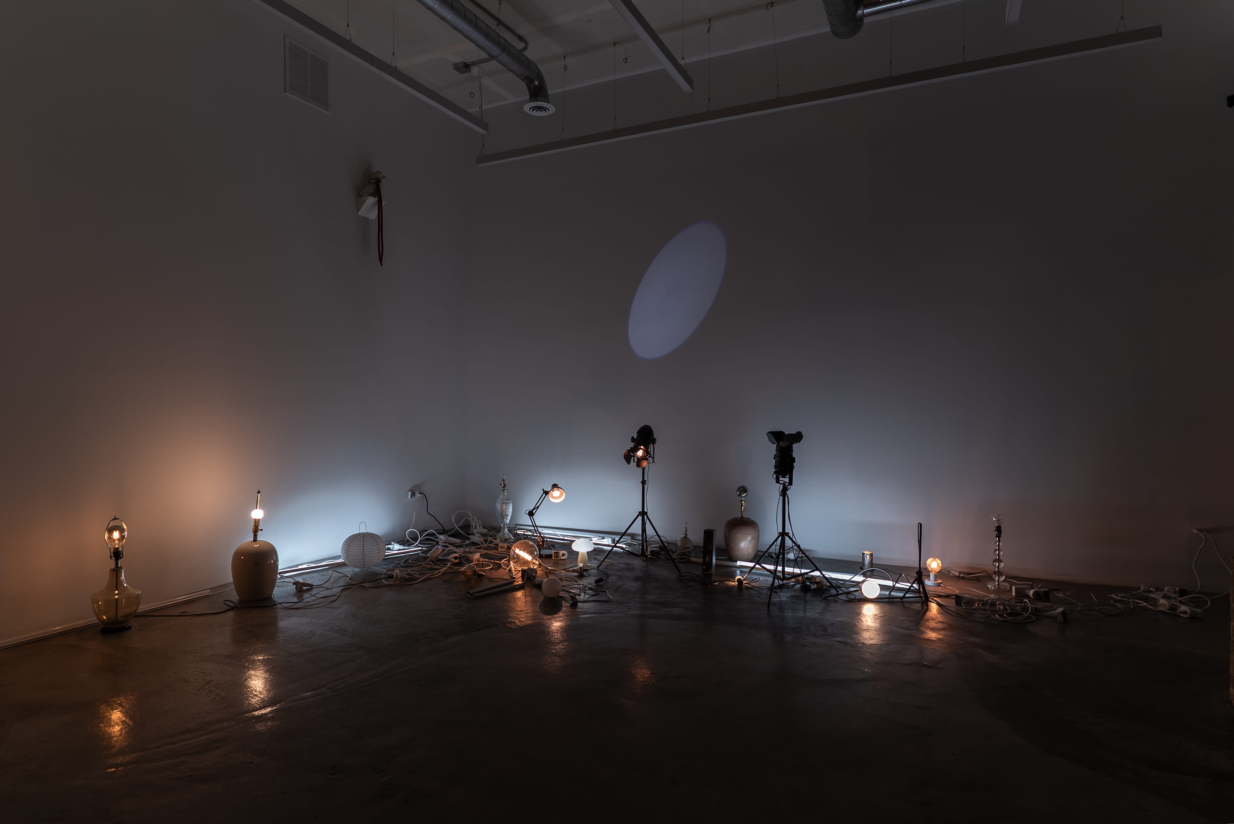 Schippa Wildfong Liberté